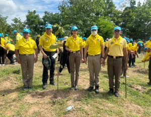 ร่วมกิจกรรมปลูกป่าฯ